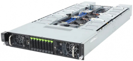 G294-S42-AAP2